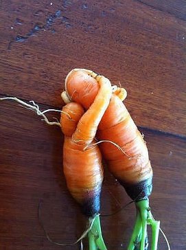 Любовь-морковь.jpg