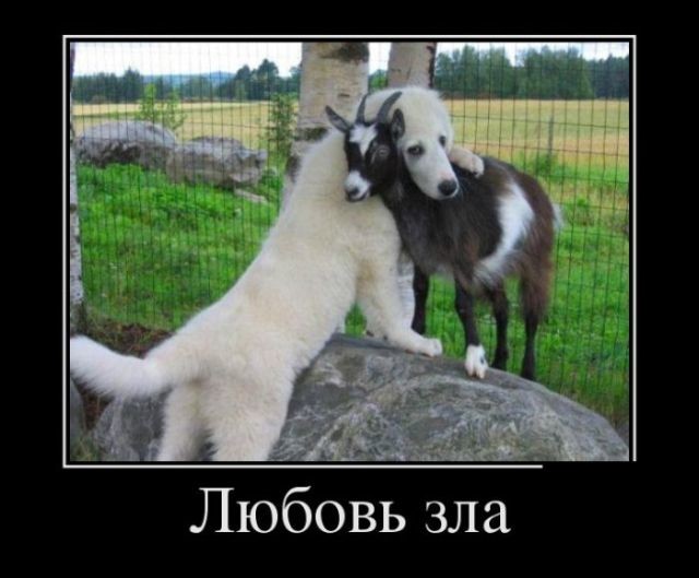 Любовь01.jpg