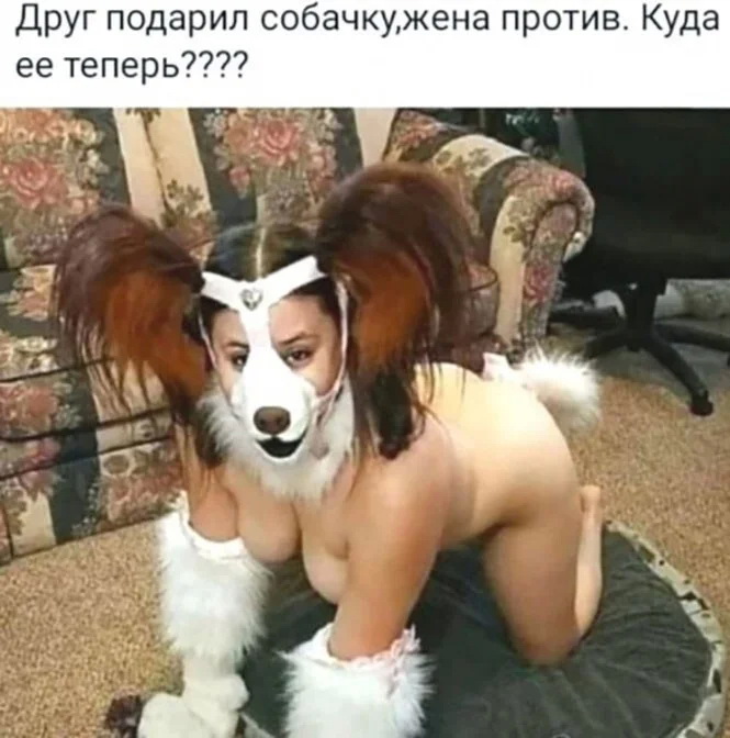 лк.jpg