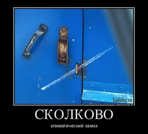 лонг.jpeg