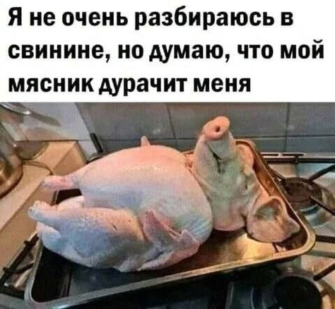 лш.jpg