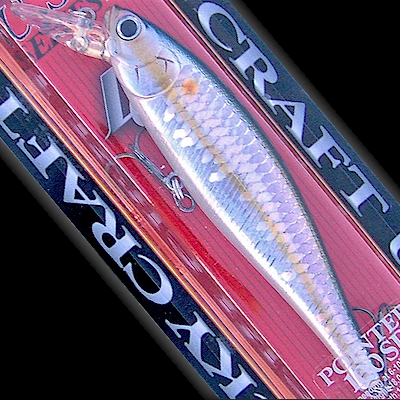 lucky-craft-pointer-100-american-shad2.jpg