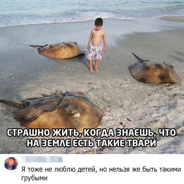 lUuy1h1FsLs.jpg