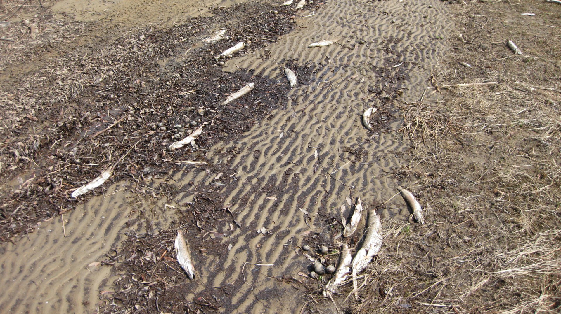 май1 глубокое1.JPG