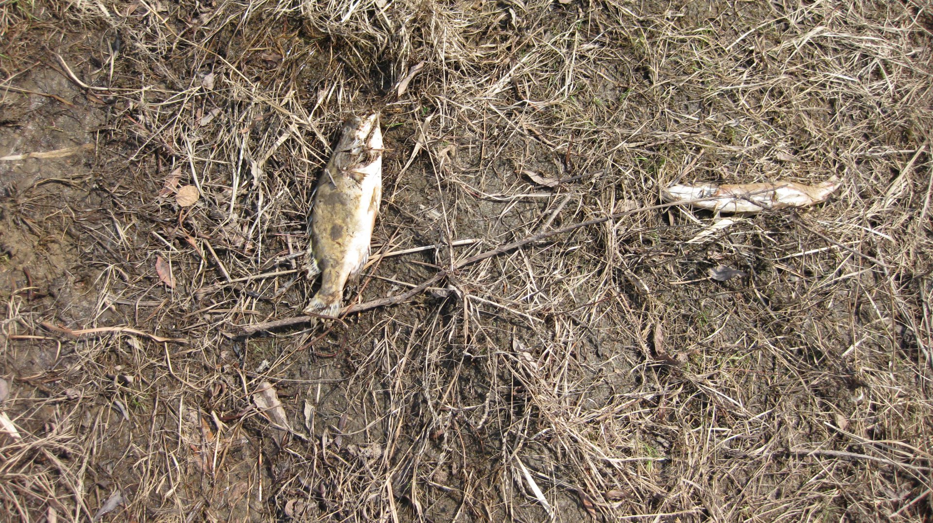 май1 глубокое2.JPG