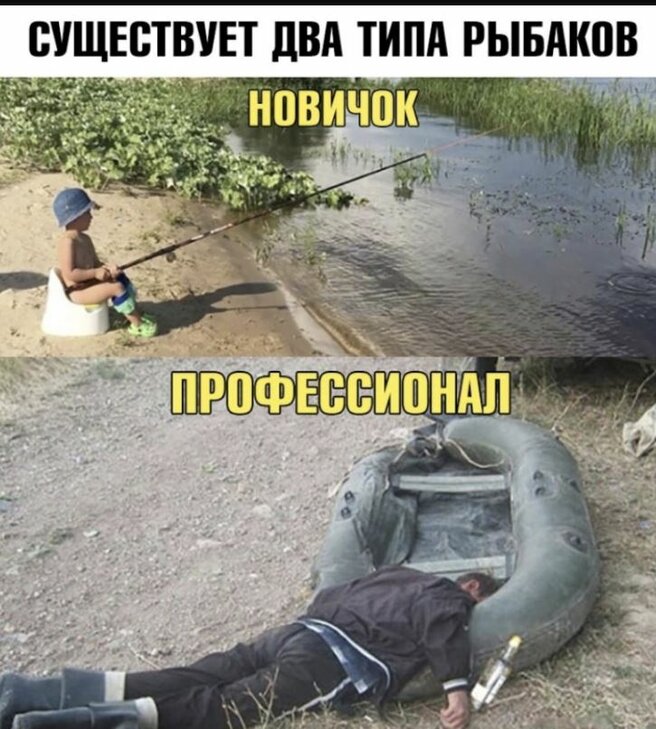 max_g360_c12_r3x4_pd20 (2).jpeg
