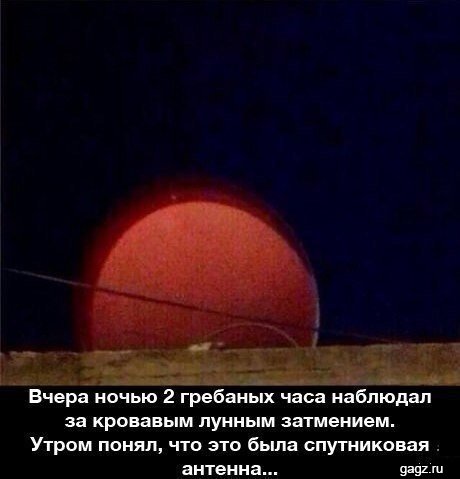 max_g360_c12_r3x4_pd20.jpeg