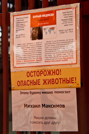 maximov-9.JPG