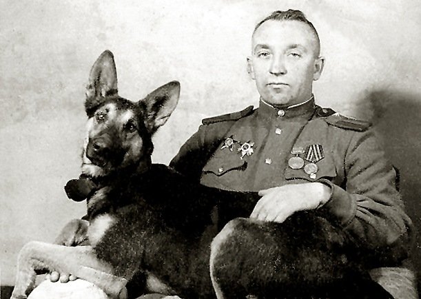 Мазовер.jpg