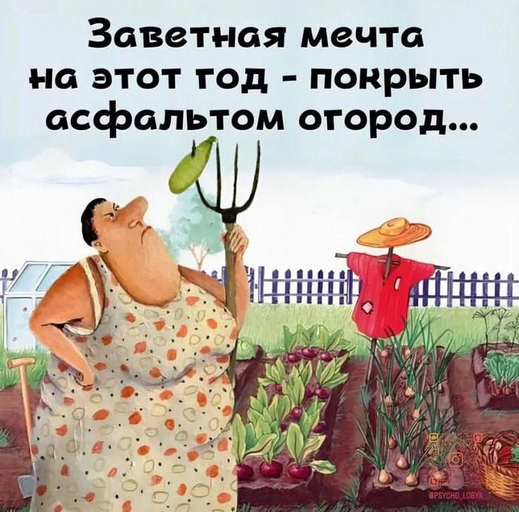 мечта !.jpg