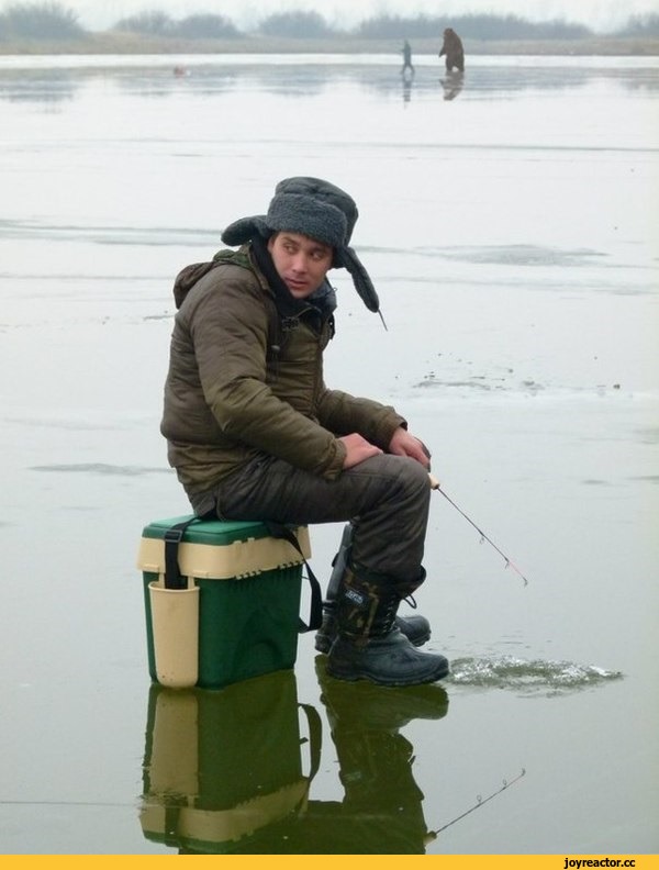 медведь.jpeg