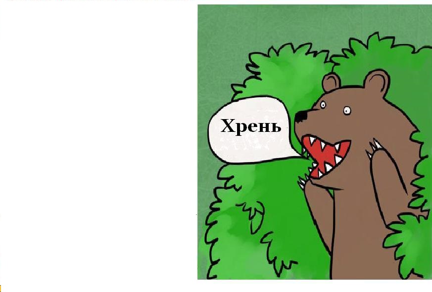 медведь.jpeg
