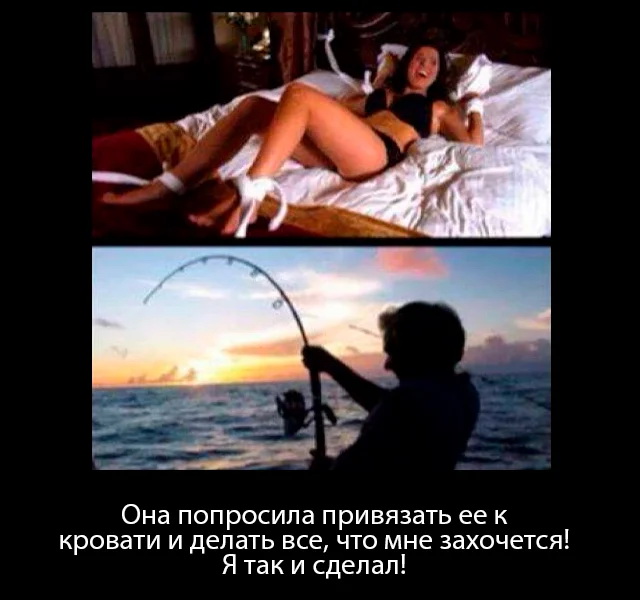митть.jpg