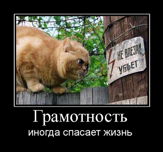 мммпми.jpg