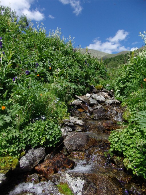 мои работы 009.jpg