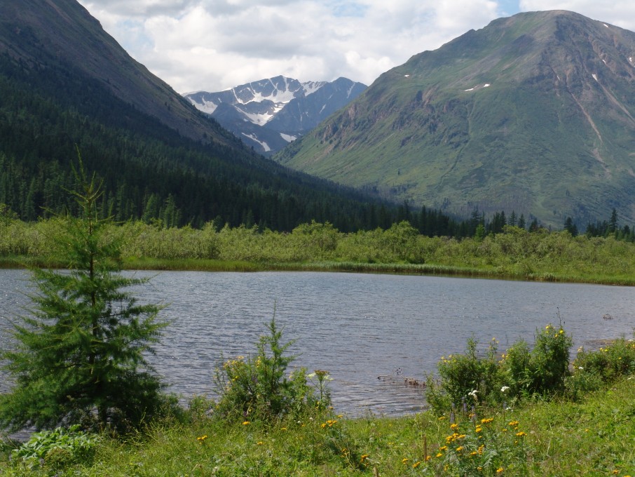 мои работы 024.jpg