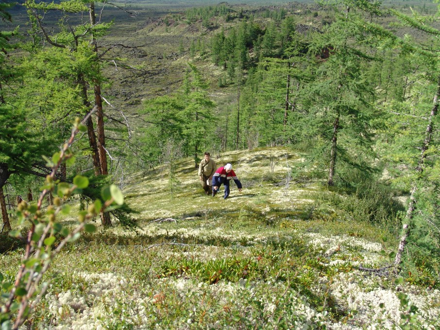 мои работы 203.jpg