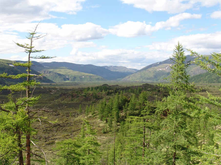 мои работы 205.jpg