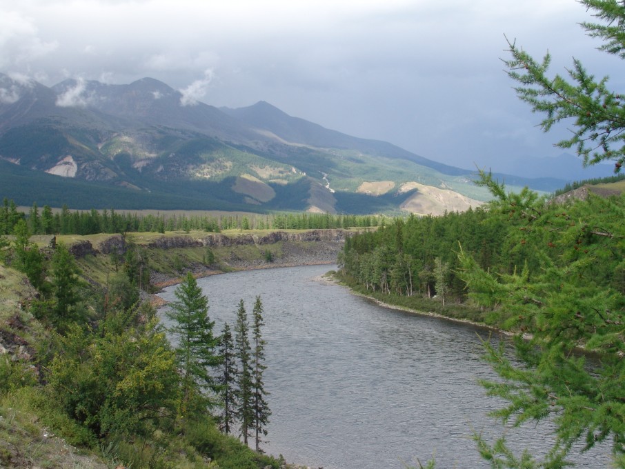 мои работы 534.jpg