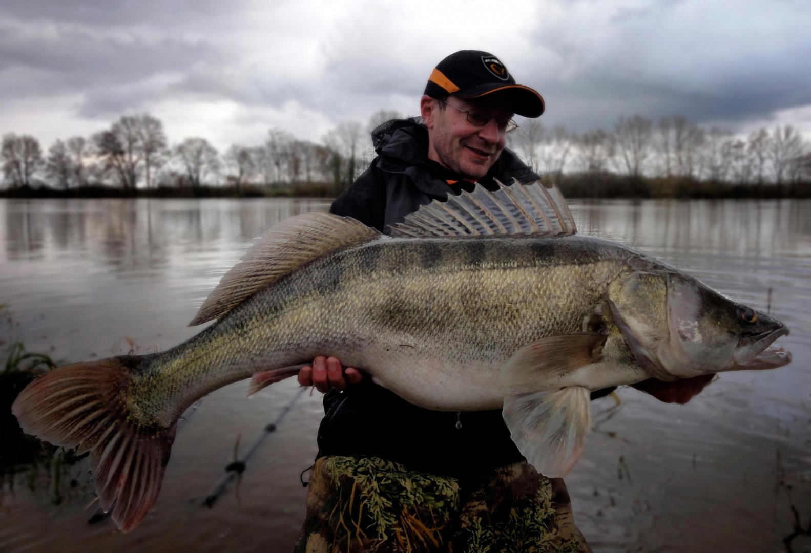 monster_zander.jpg
