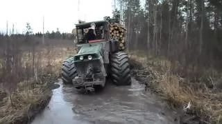 монстр.jpg