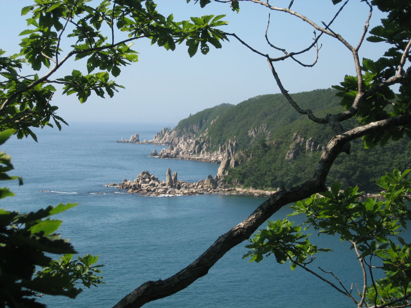 море 2010 239.jpg