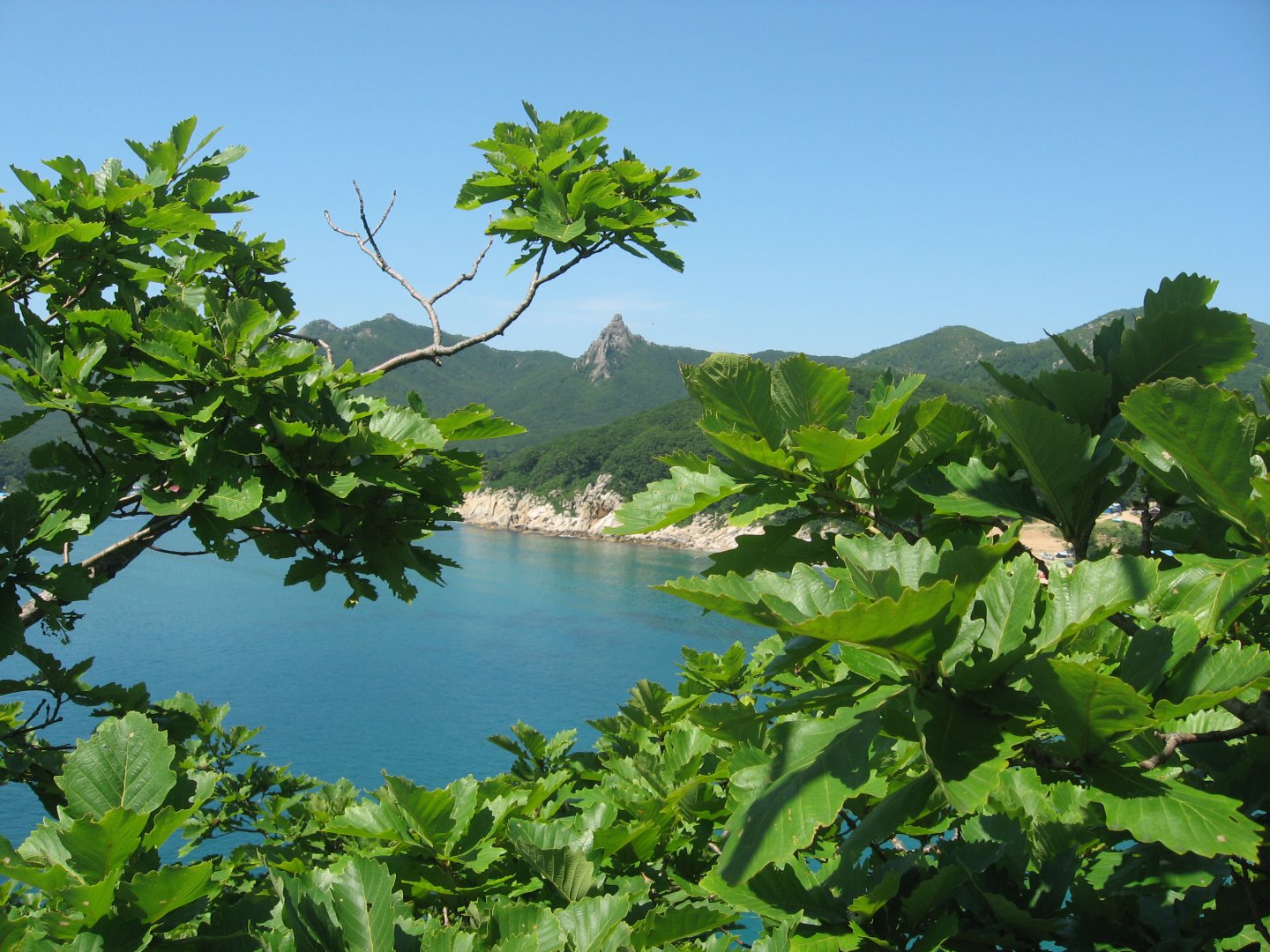 море 2010 326.jpg