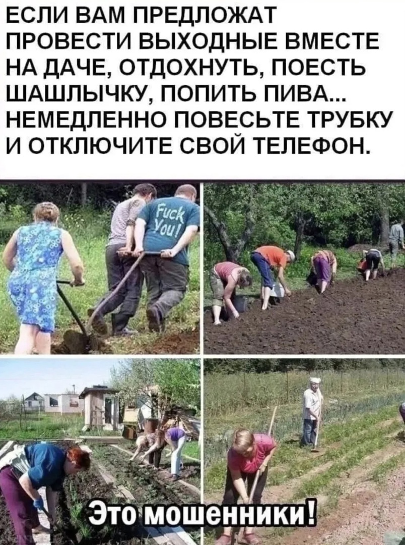 Мошенники.jpg