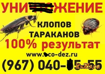 moskva-unichtozhenie_klopov___387773.jpeg