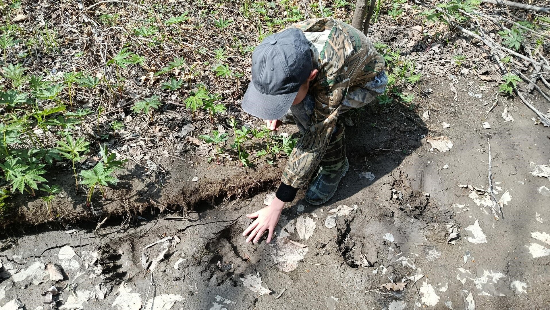 Мультимедиа (1).jpg