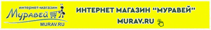 муравей_1.jpg