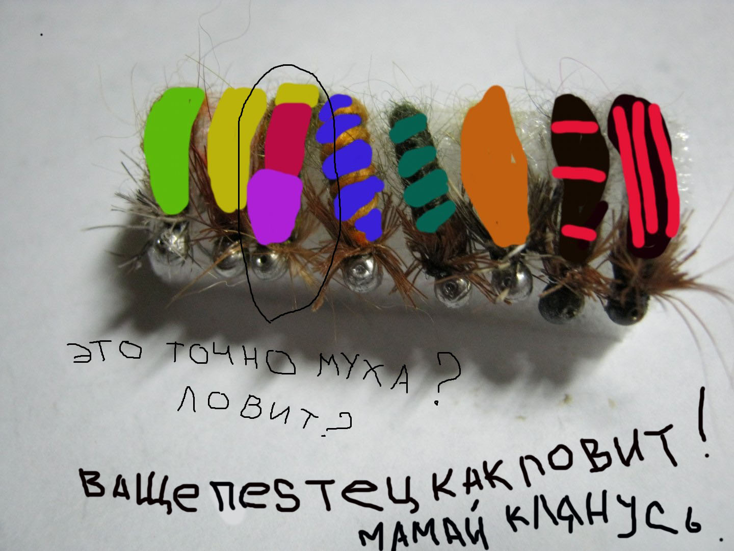 муха.jpg