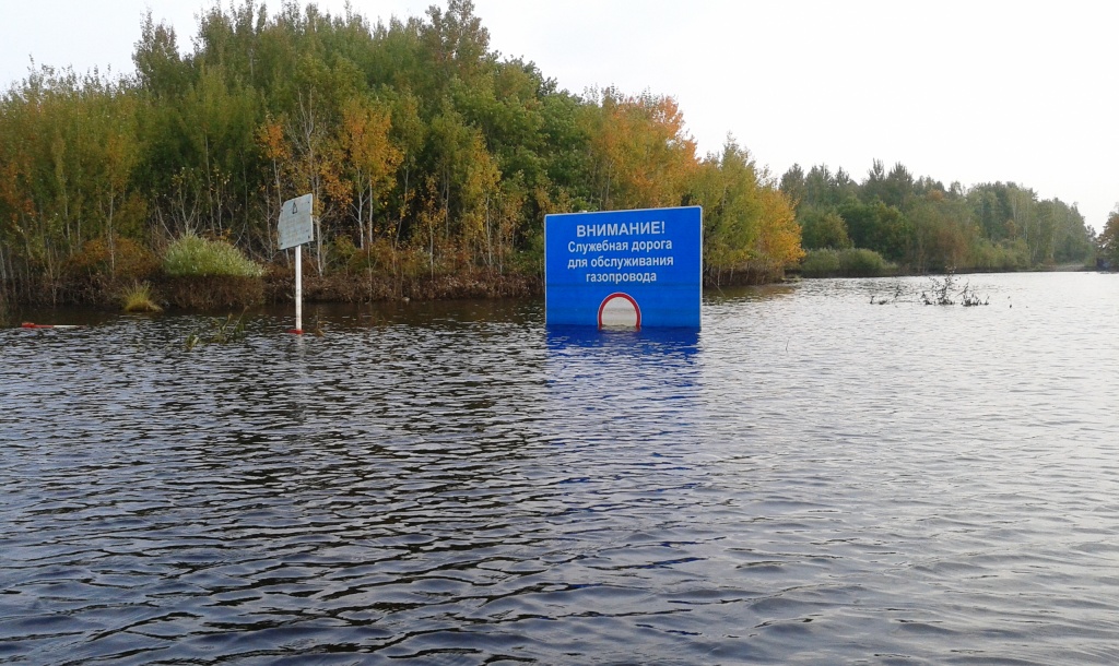 на оборе.jpg
