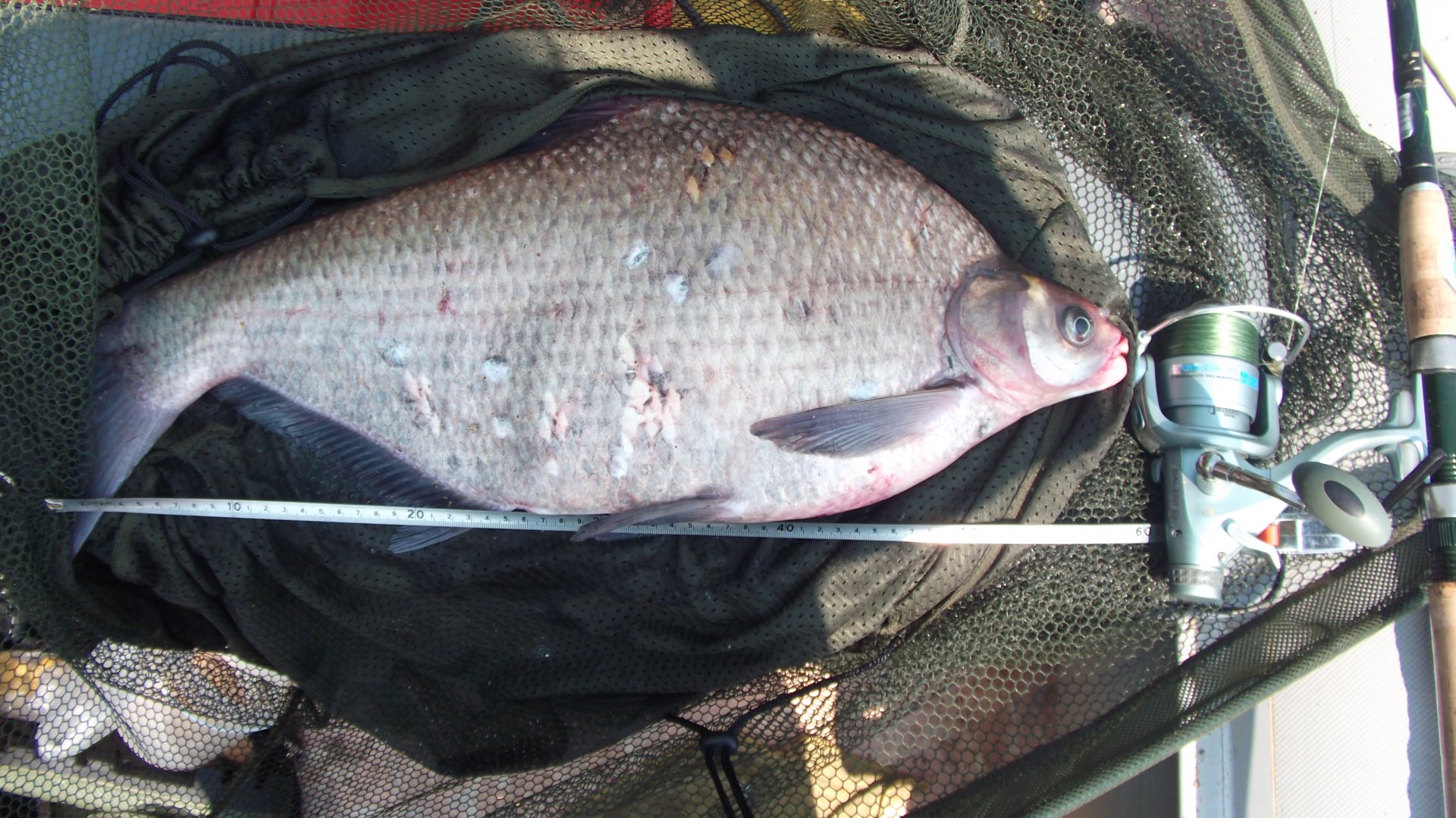 На рыбалке. 011.jpg