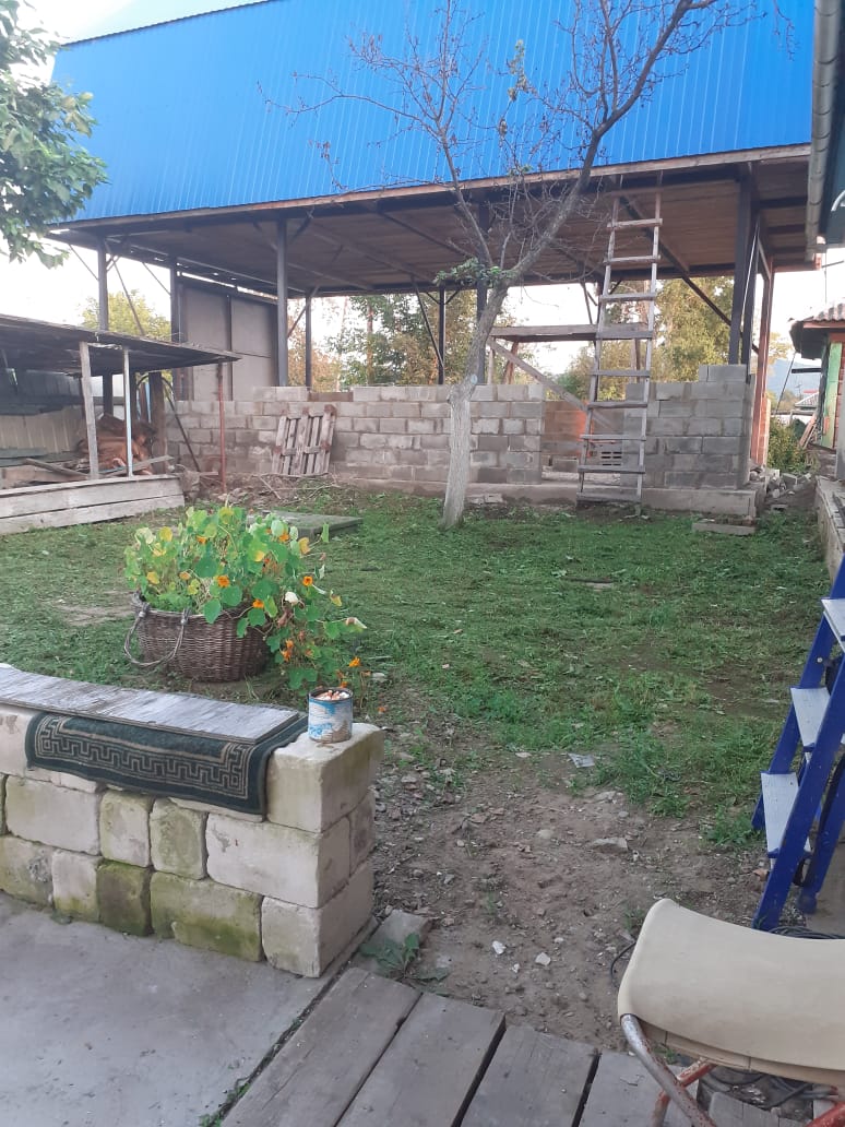 начало стен.jpg