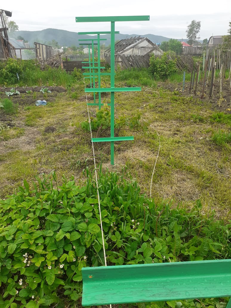 натяжка струн.jpg