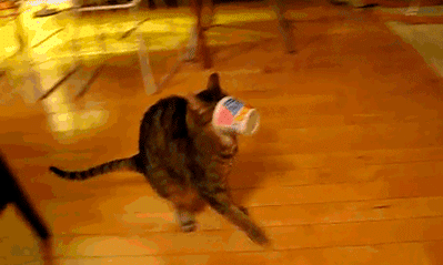 не виуж.gif