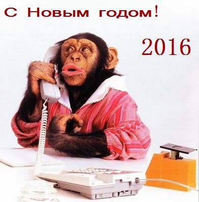нг1.jpg
