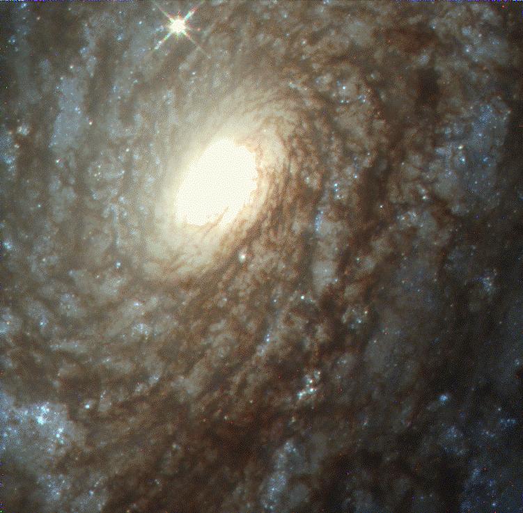 NGC 4414 флоккулентная спиральная галактика.jpg