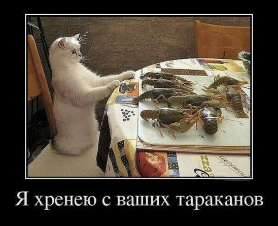 ьно.jpg