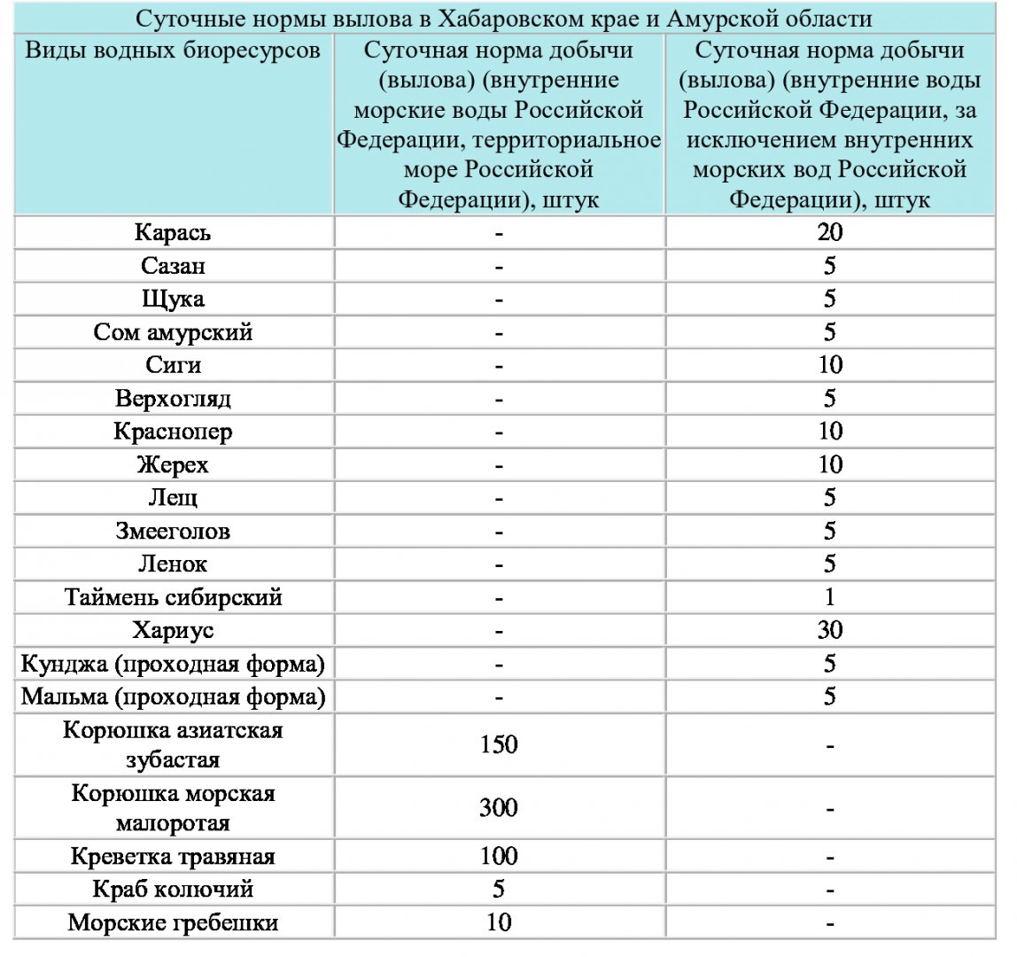 нормы-0.jpg