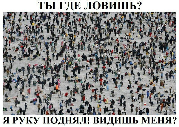 NoSoRdJVDZ4.jpg