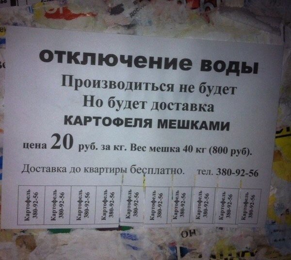 объявление.jpg