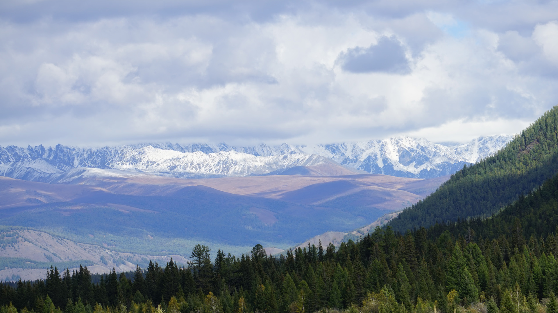 обложка для ВК.jpg