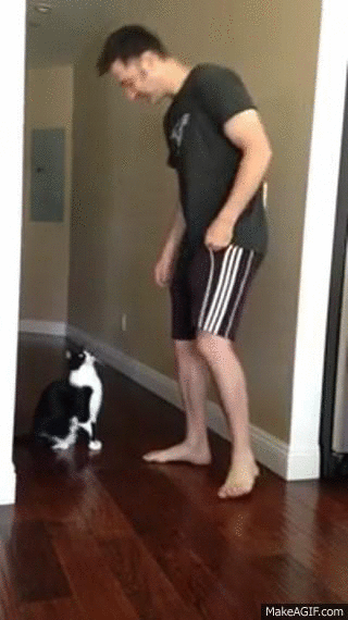обними.gif