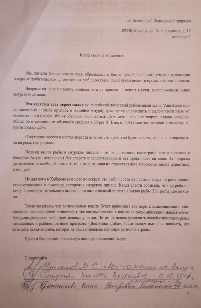 ОбращениеWWF1.jpeg
