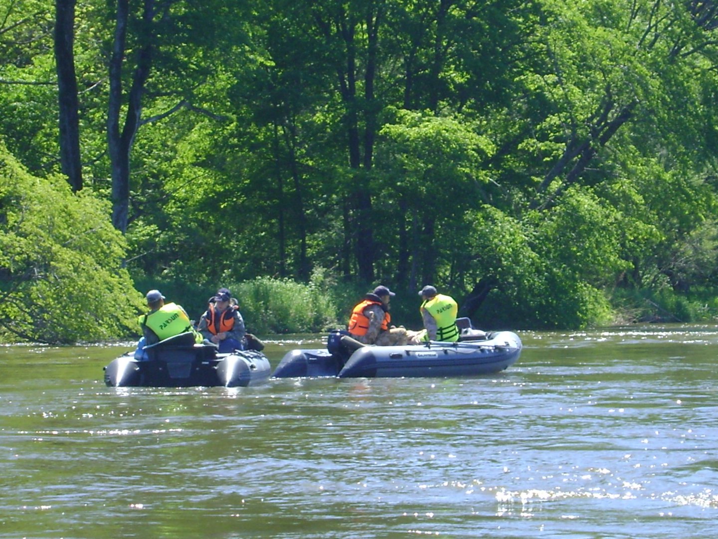 общий план.JPG