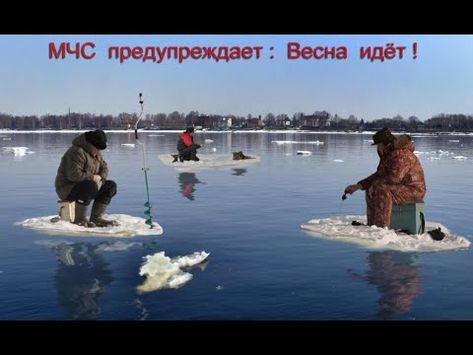 одл.jpg