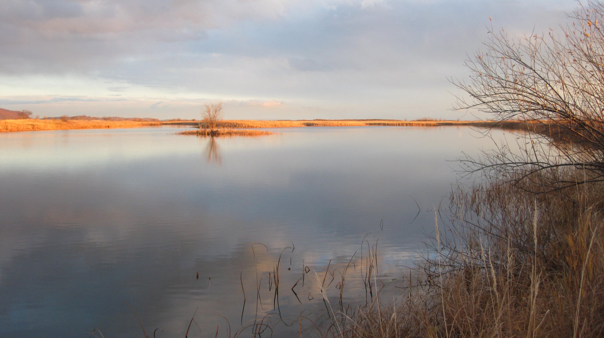 окт18 вилка1.JPG