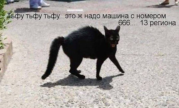 ьол.jpeg